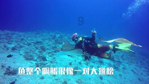 近3年南安累计投入9115万元！养护193.5公里农村公路