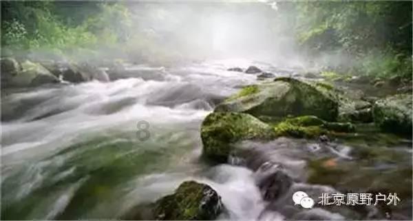 大眼蛙3